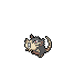 raticate-alola