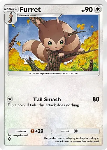 Furret card