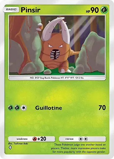 Pinsir card