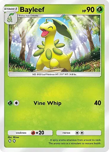 Bayleef card