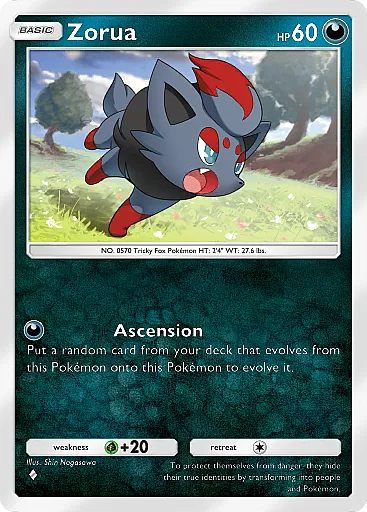 Zorua card