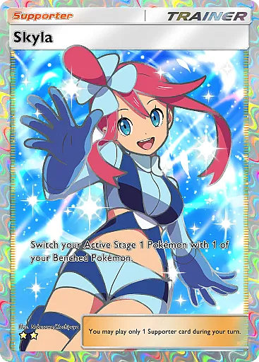 Skyla card