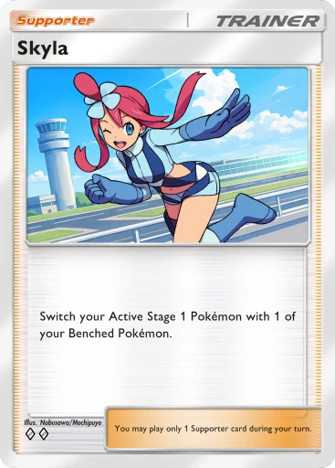 Skyla card