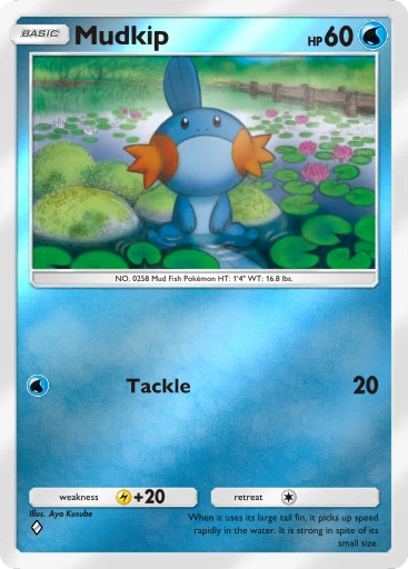 Mudkip card