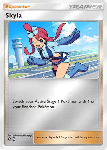 Skyla card